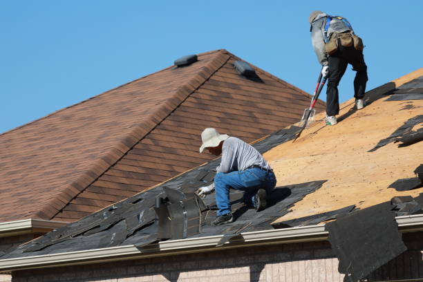 Best Metal Roofing Installation  in Medina, TX